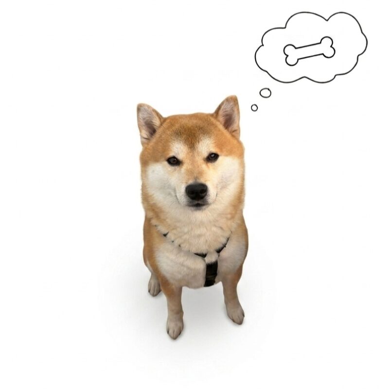Balou